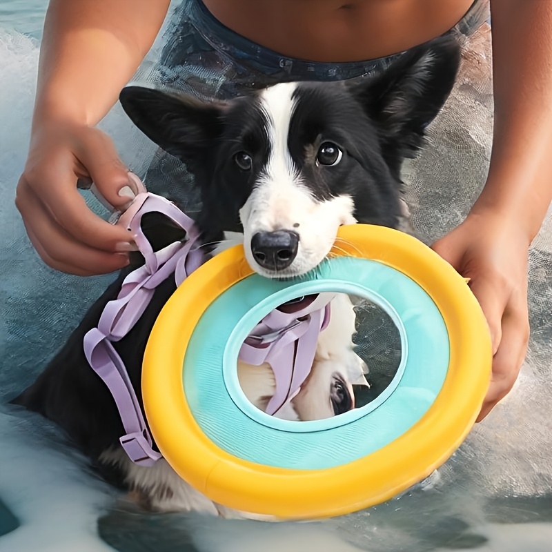 Frisbee Freestyle Disc - Floating Dog Frisbee, Outdoor Interactive Training