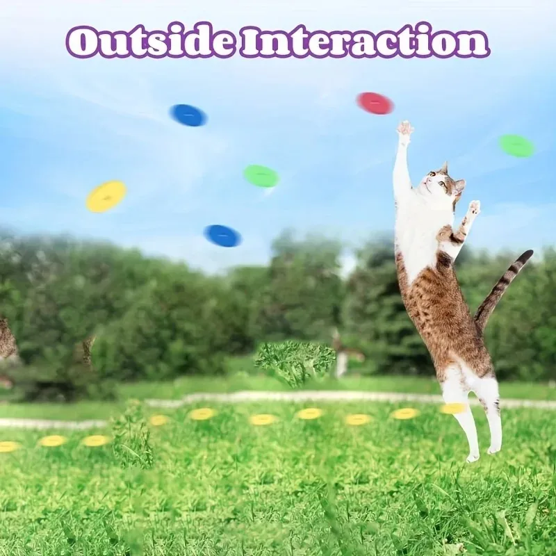 Funny Cat Toys Creative Turnip - Frisbee Freestyle Disc recension och pris