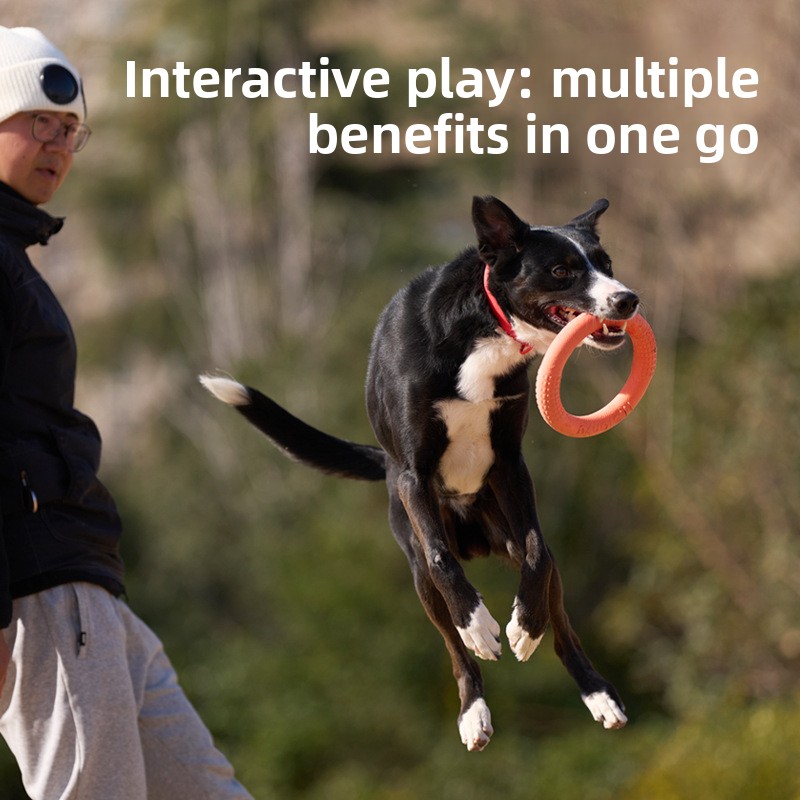 Bite-resistant soft pull-ring  - Frisbee Freestyle Disc recension och pris