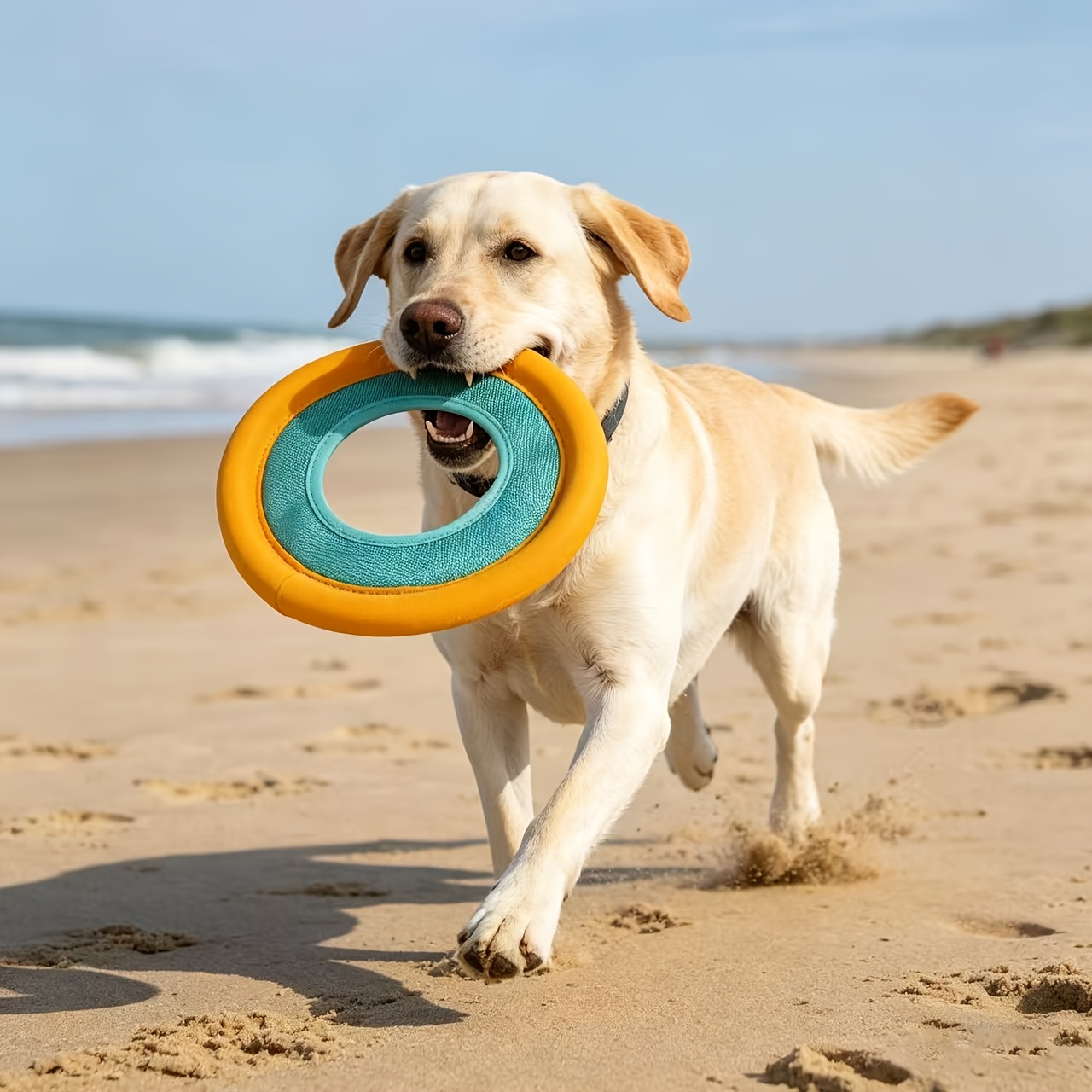 Floating Dog Frisbee, Outdoor  - Frisbee Freestyle Disc recension och pris