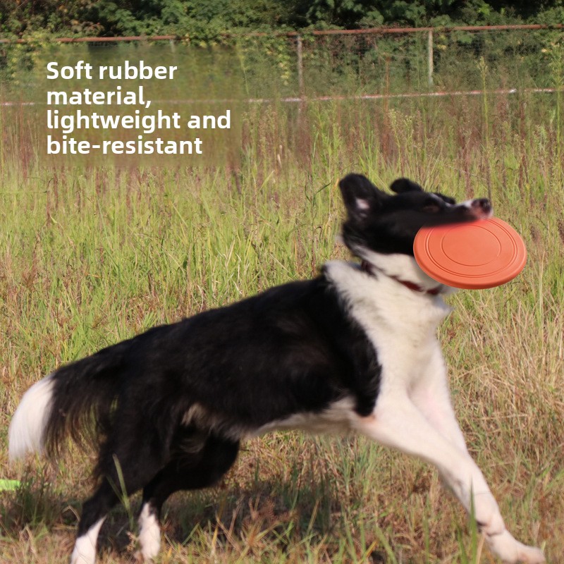 Soft Flying, Dog Toys Interact - Frisbee Freestyle Disc recension och pris