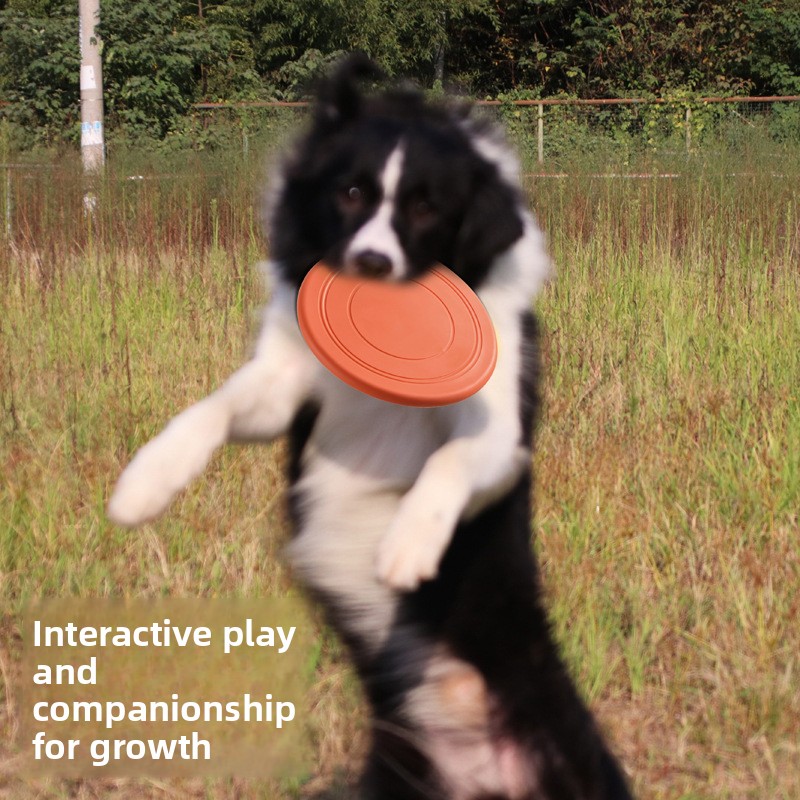 Soft Flying, Dog Toys Interact - Frisbee Freestyle Disc recension och pris