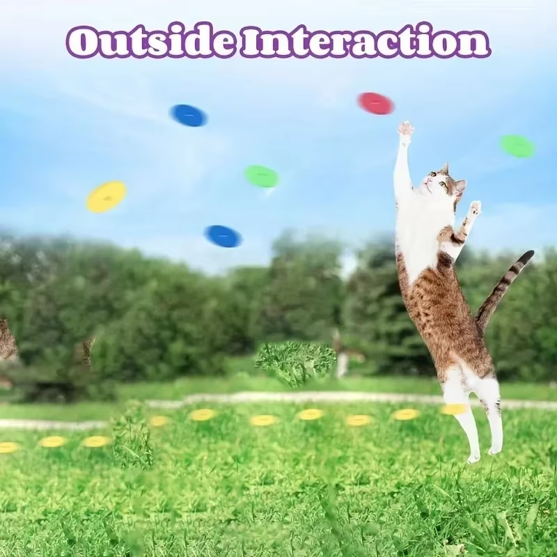 Funny Cat Toys Creative Turnip - Frisbee Freestyle Disc recension och pris
