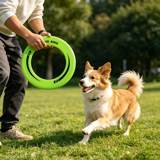 1PC Durable Hollow Ring Frisbe - Frisbee Freestyle Disc recension och pris