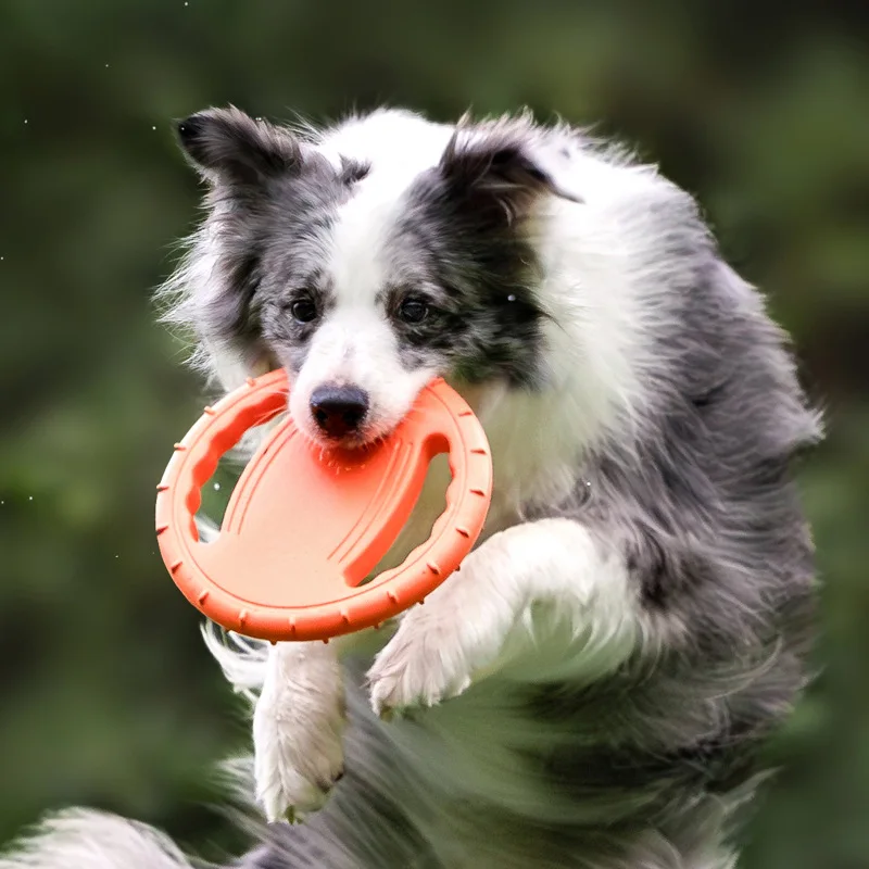 Durable Dog Flying Disc Toy Pe - Frisbee Freestyle Disc recension och pris