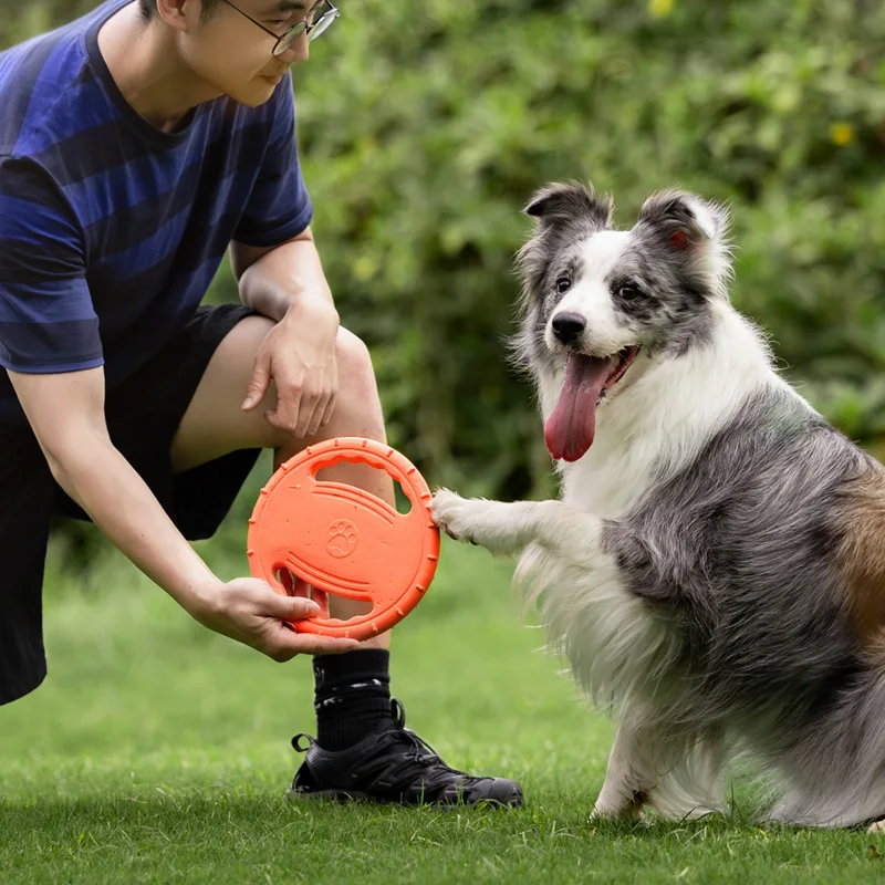 Durable Dog Flying Disc Toy Pe - Frisbee Freestyle Disc recension och pris