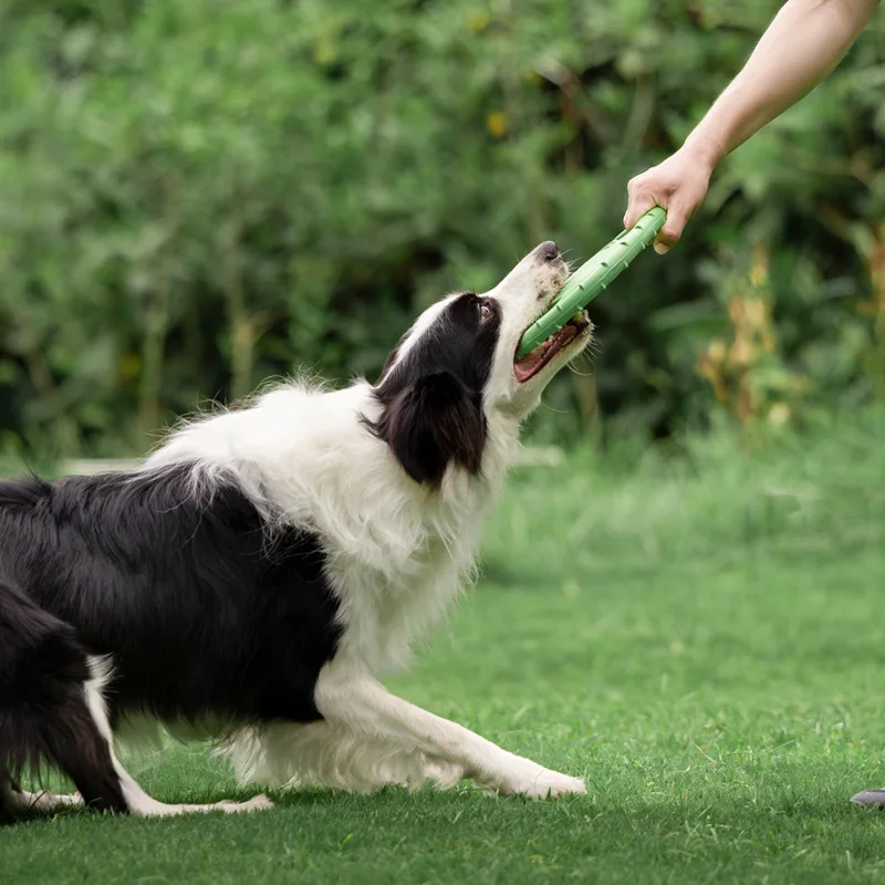 Durable Dog Flying Disc Toy Pe - Frisbee Freestyle Disc recension och pris